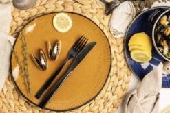 Anovi Mosselbestek - Verguld - 2-delig -Keuken Benodigdheden Verkoop 1 Mosselen Anovi 1