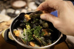 Anovi Mosselbestek - Verguld - 2-delig -Keuken Benodigdheden Verkoop 8 Mosselen Anovi 8 1