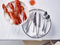 Keltum Haags Lofje (edelstaal) Taartschep -Keuken Benodigdheden Verkoop Haags Lofje 8 zilver 36bd