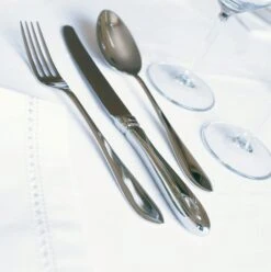 Keltum Puntfilet Tafelvork -Keuken Benodigdheden Verkoop aPuntfilet03 CE 3