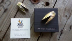 Anovi Mosselbestek 2-delig 16 Anovi Mosselbestek 2-delig -Keuken Benodigdheden Verkoop anovi mosselbestek