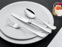 Sola Bestekset Hollands Glad - 50 Delig / 6 Personen -Keuken Benodigdheden Verkoop sola hollands glad